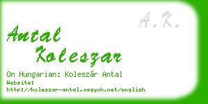antal koleszar business card